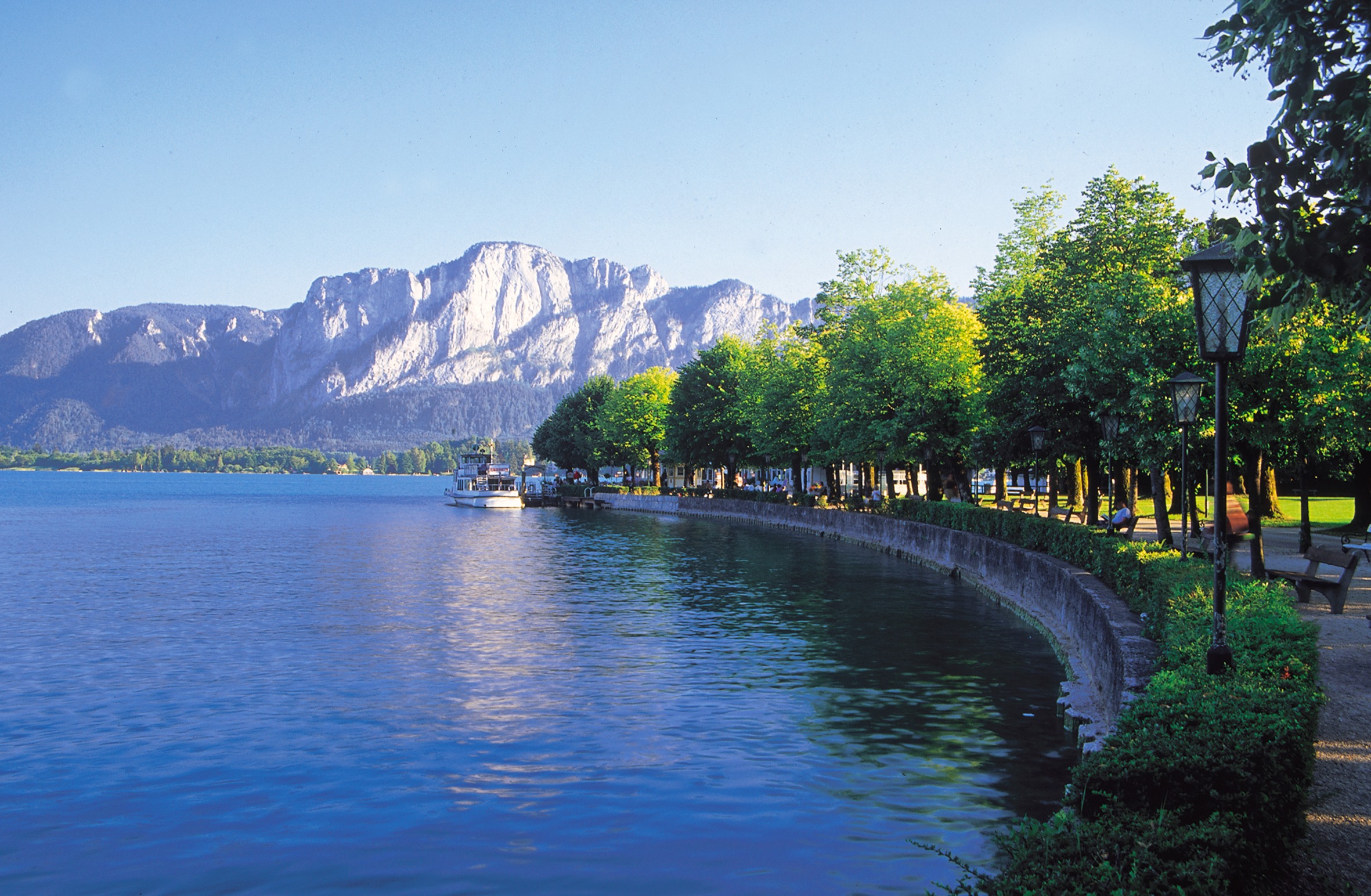Single mondsee