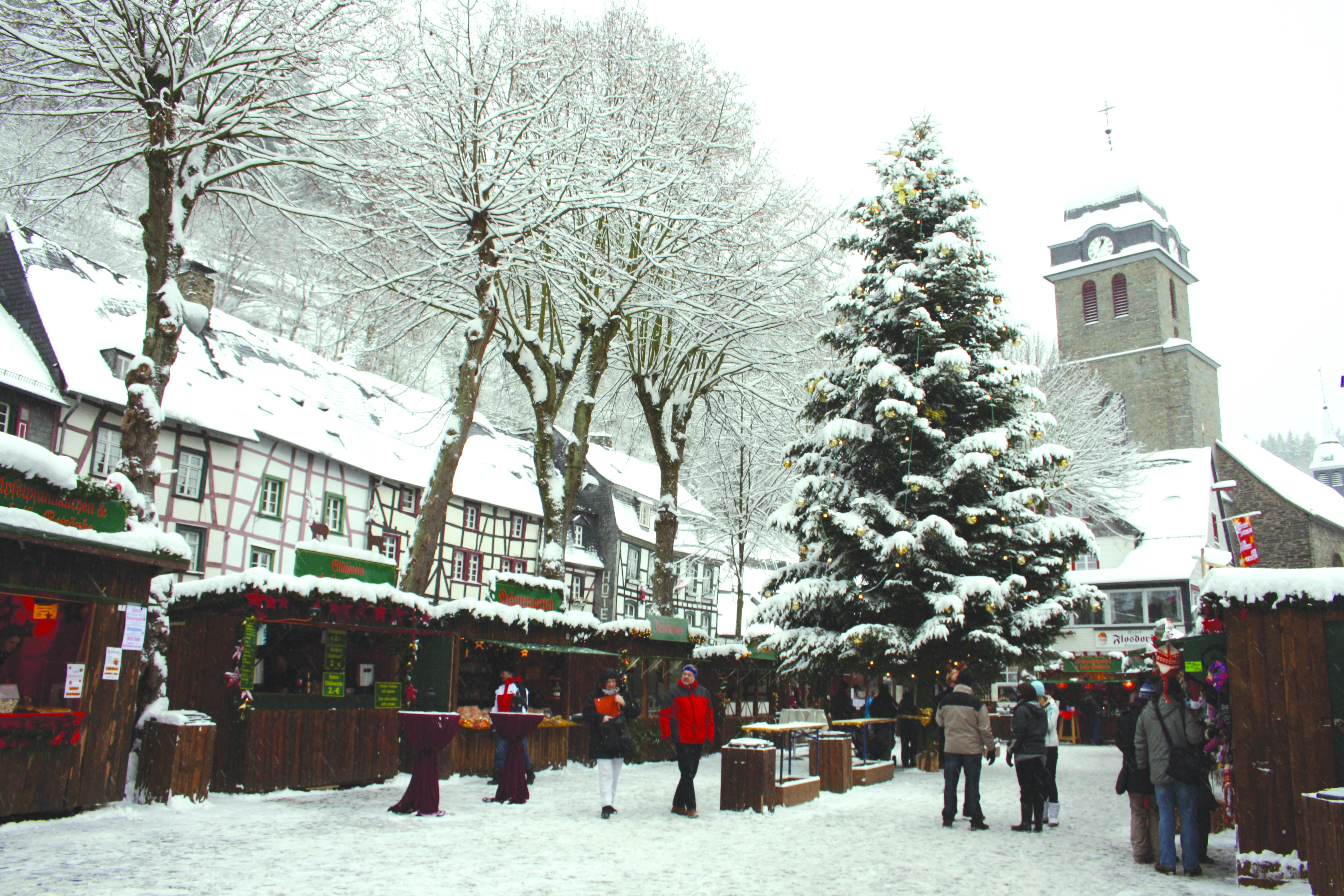 Singles monschau